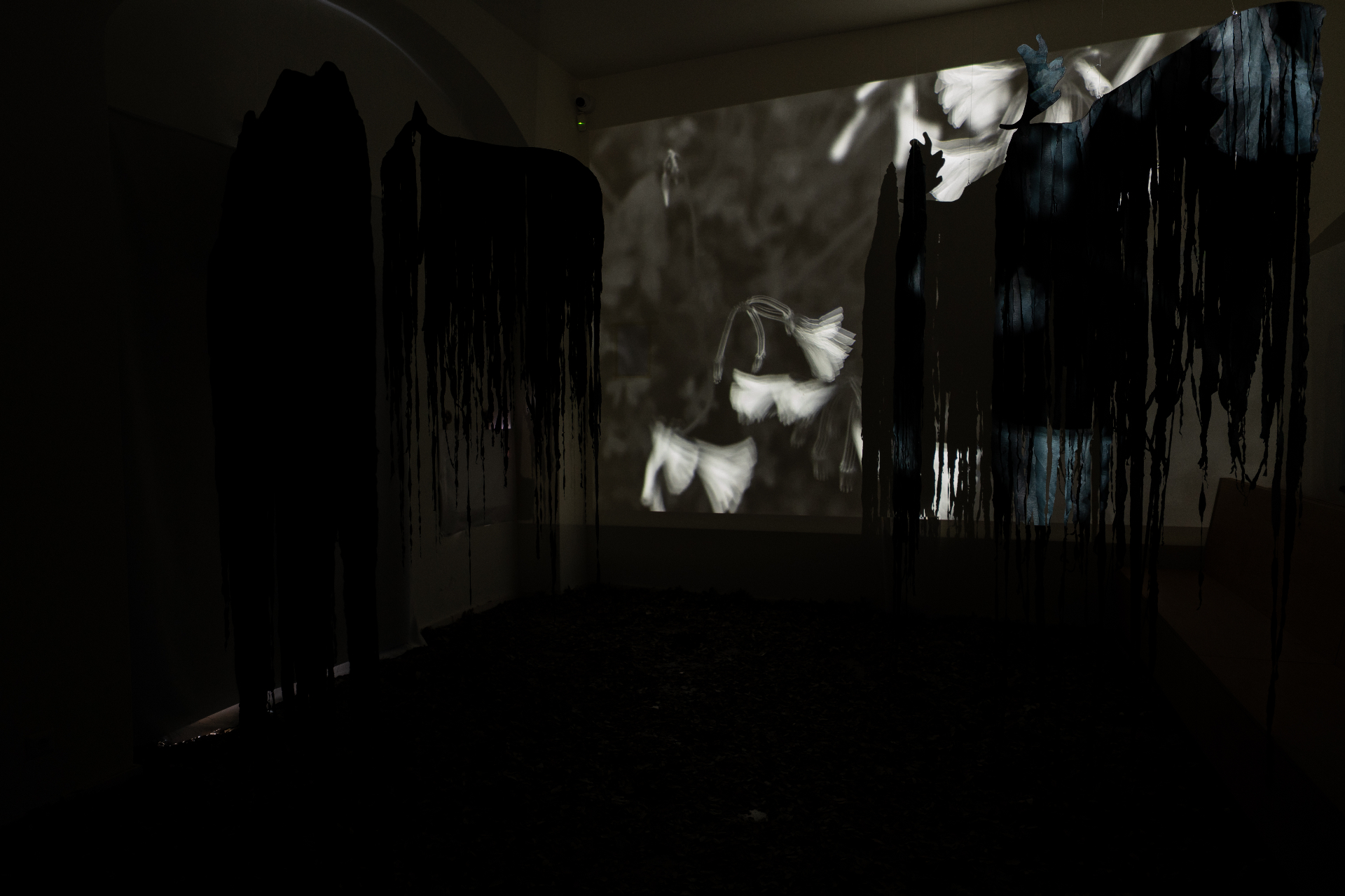 Eleonora Desole — veduta dell'installazione immersiva con proiezione e presenze sospese