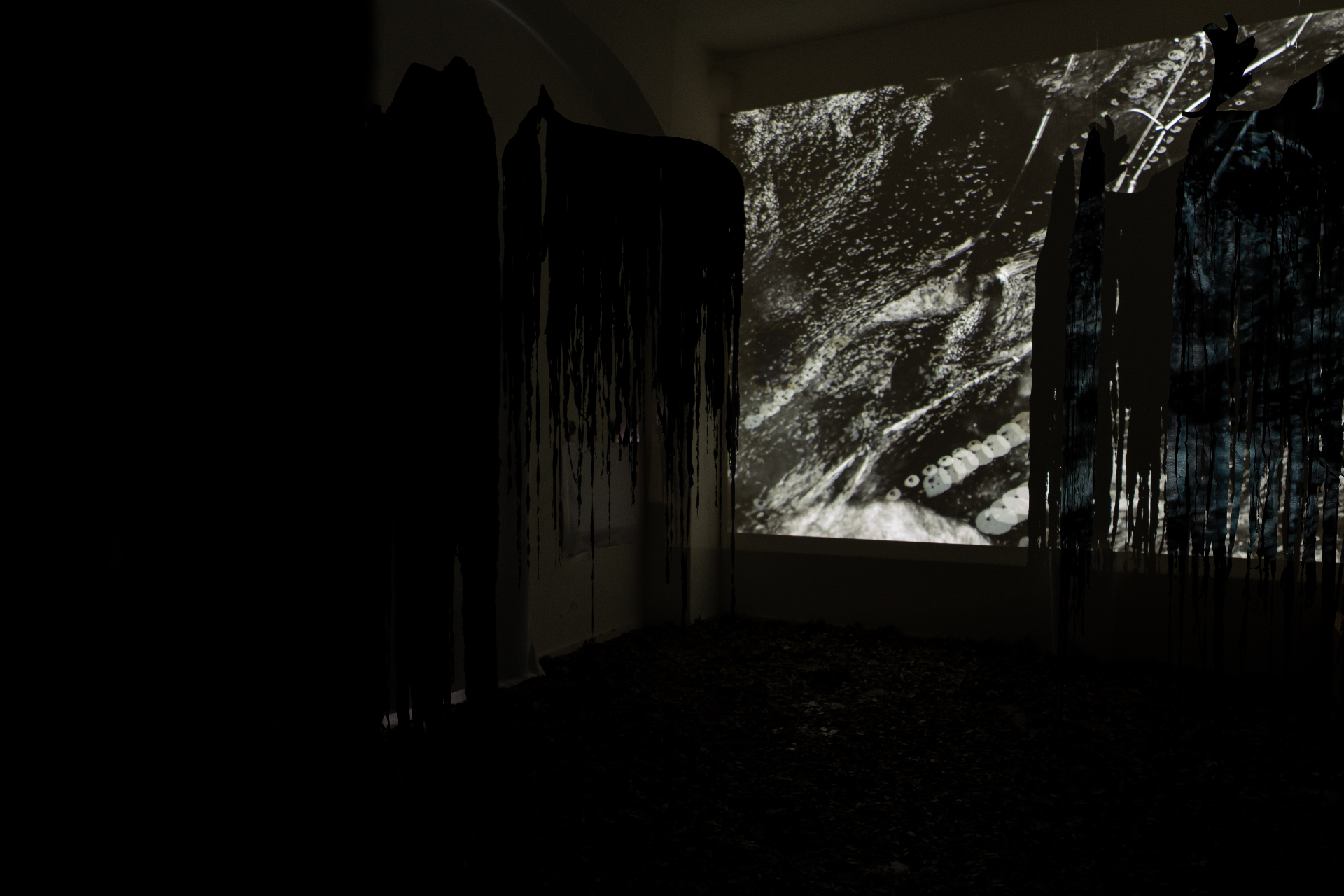 Eleonora Desole — visione ravvicinata dell'installazione con immagini proiettate e ombre dense