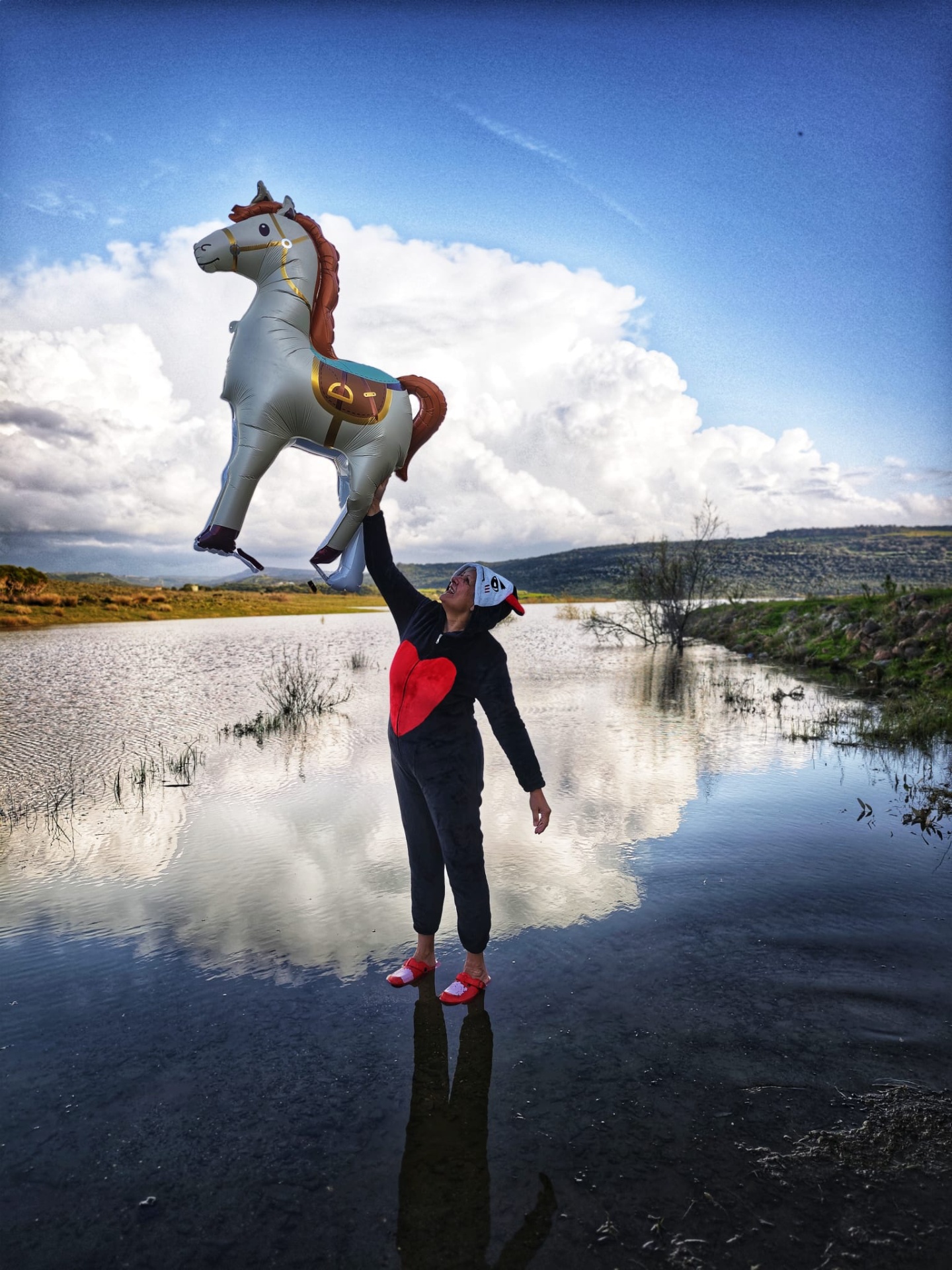 Opera — figura con cavallo gonfiabile sull'acqua