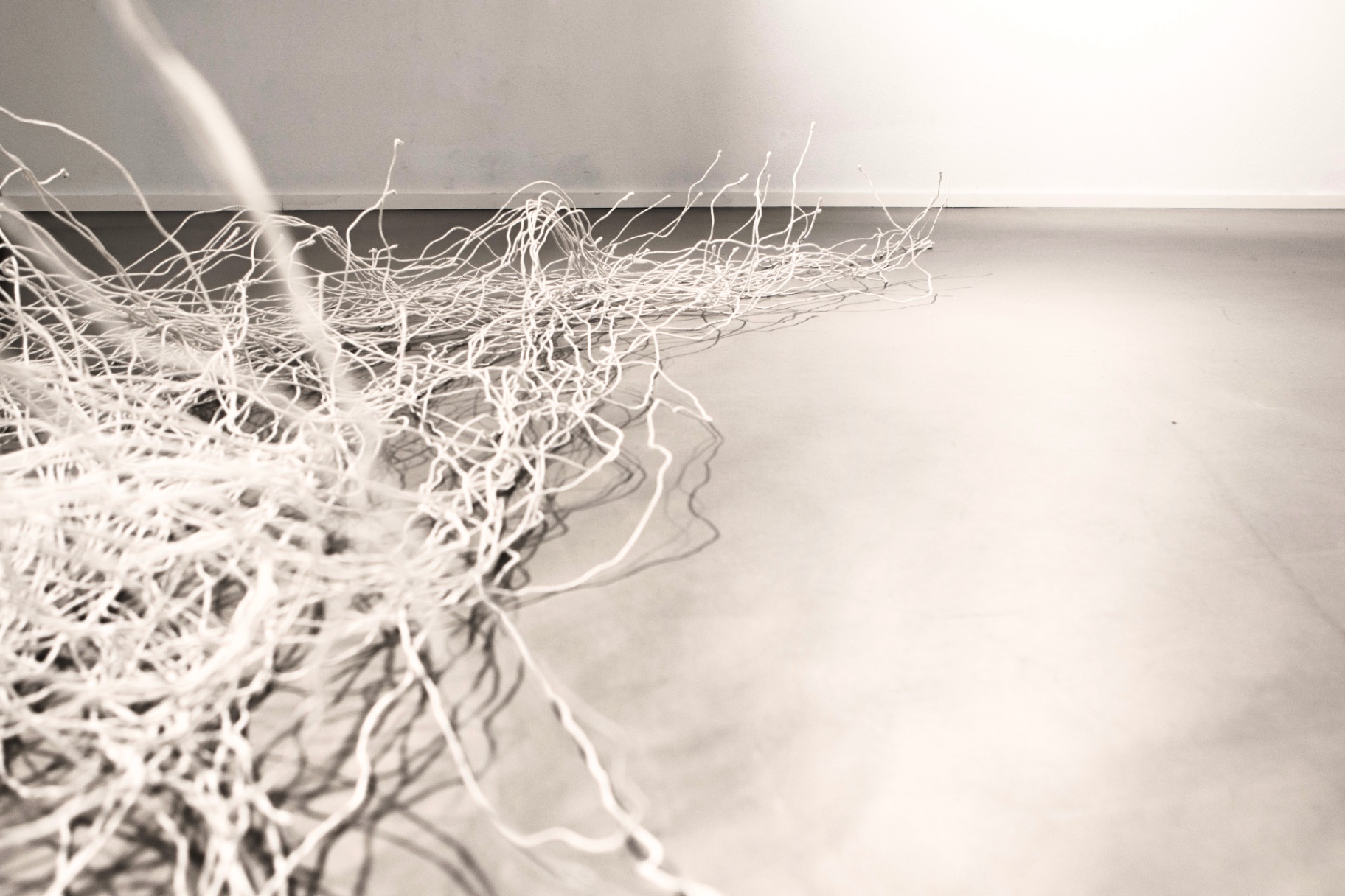 Legami — dettaglio dell'installazione distesa a terra