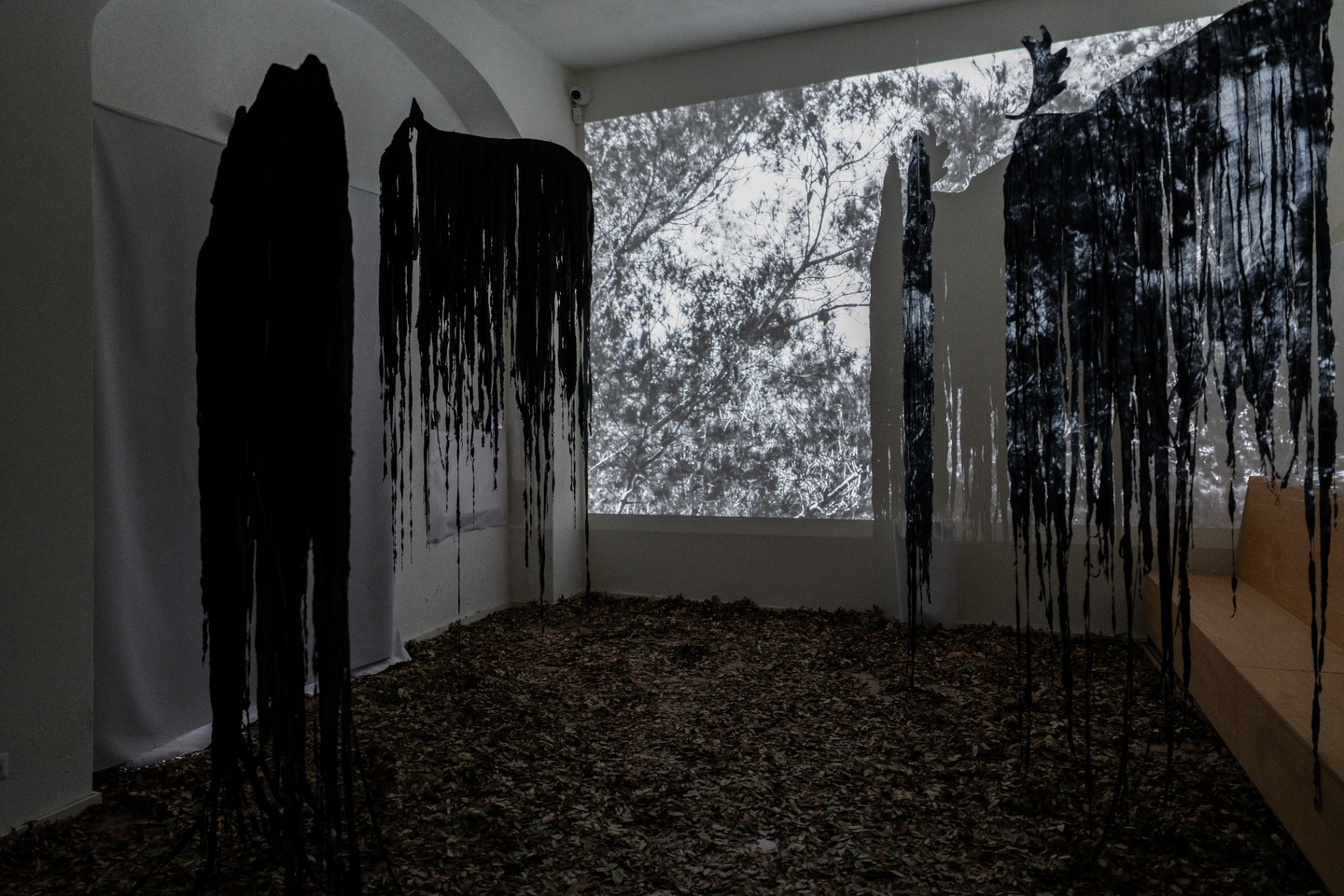 Eleonora Desole — installazione ambientale con proiezione arborea e pavimento coperto di foglie